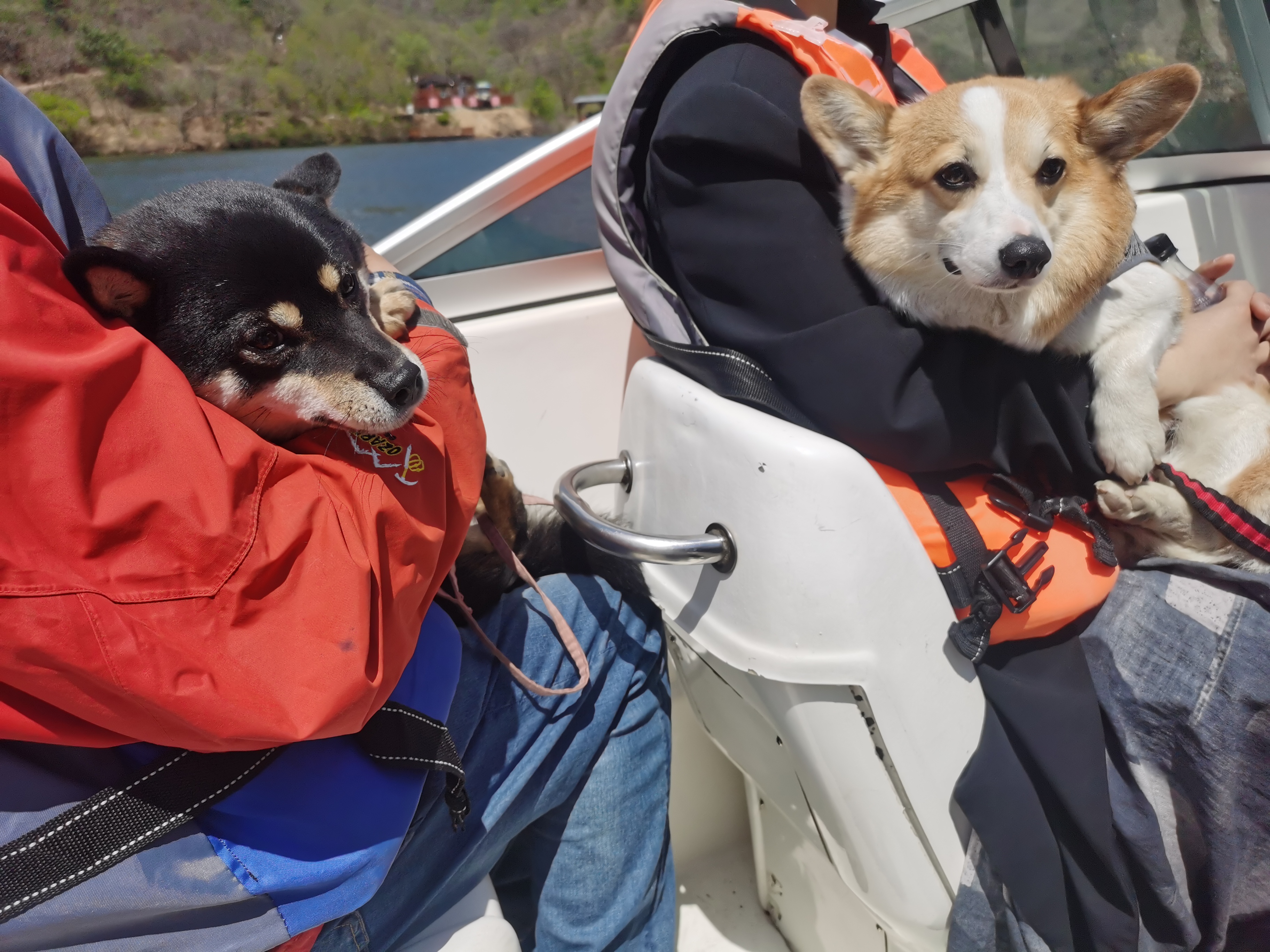 黄花城水长城旅游攻略,行走万里长城之旅