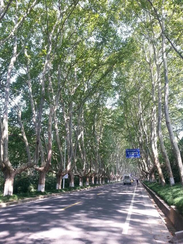 在南京旅游必须知道的90个常识,南京旅游最全攻略超实用