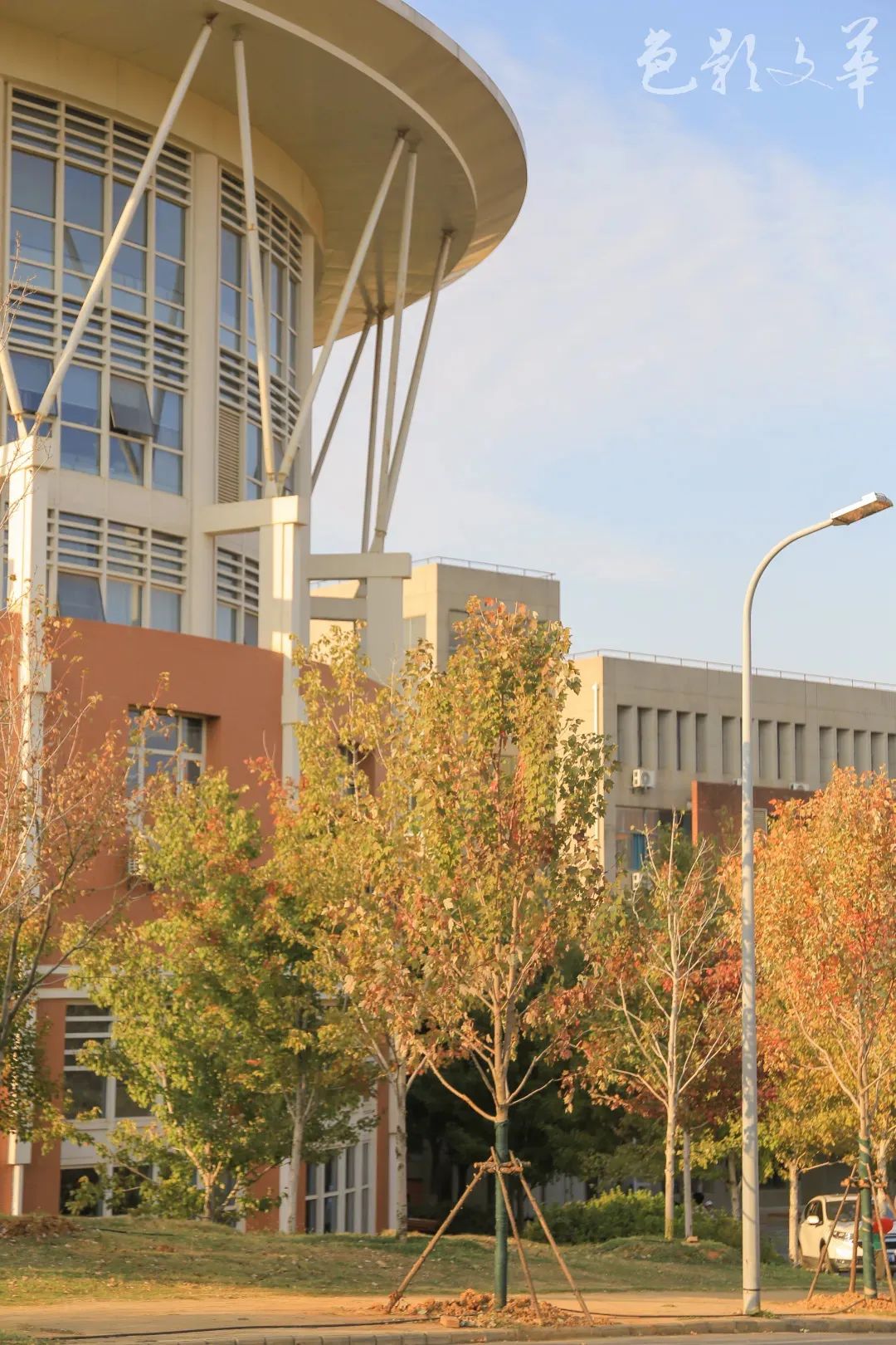 9大理由揭秘：在这个学校为何既能快乐学习，个性又能自由发展？