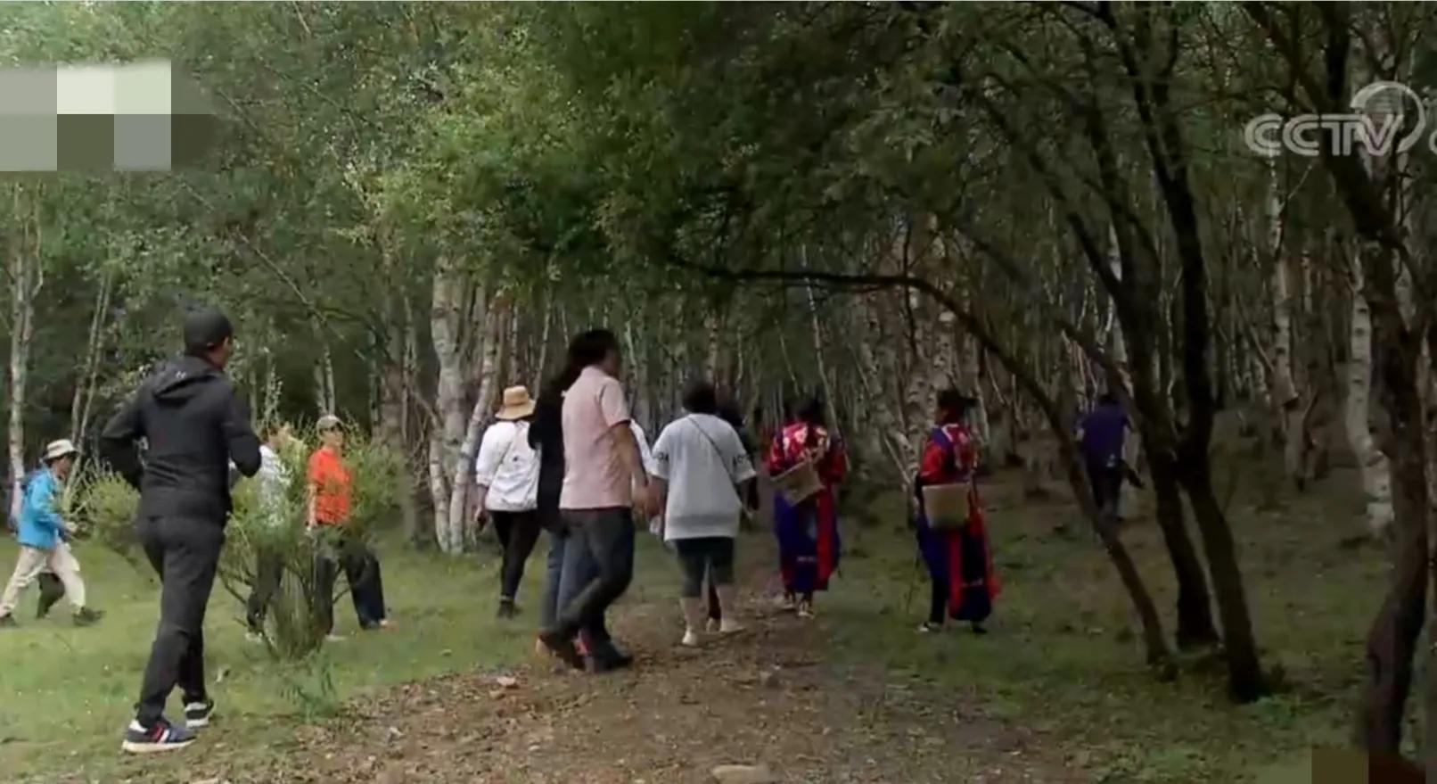 看云南男子如何玩转山货,成功带领1000位农民致富,销售额2000万