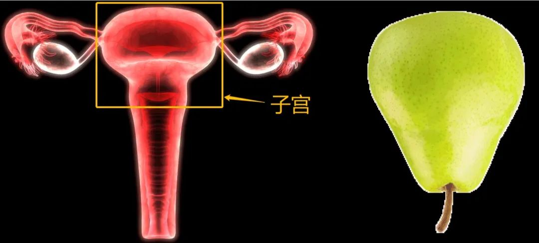 宫颈有小小的糜烂,子宫颈糜烂女性都会有吗