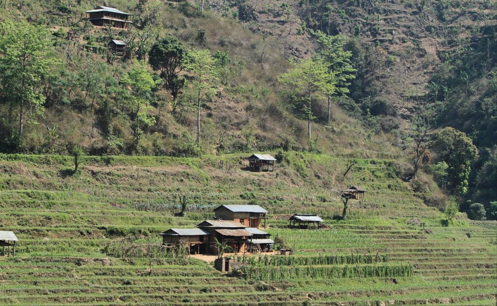 90鍚庡コ瀛╄繑涔″垱涓氱灏忕ɑ,90鍚庤繑涔″垱涓氬ぇ瀛︾敓绉嶆姘寸ɑ