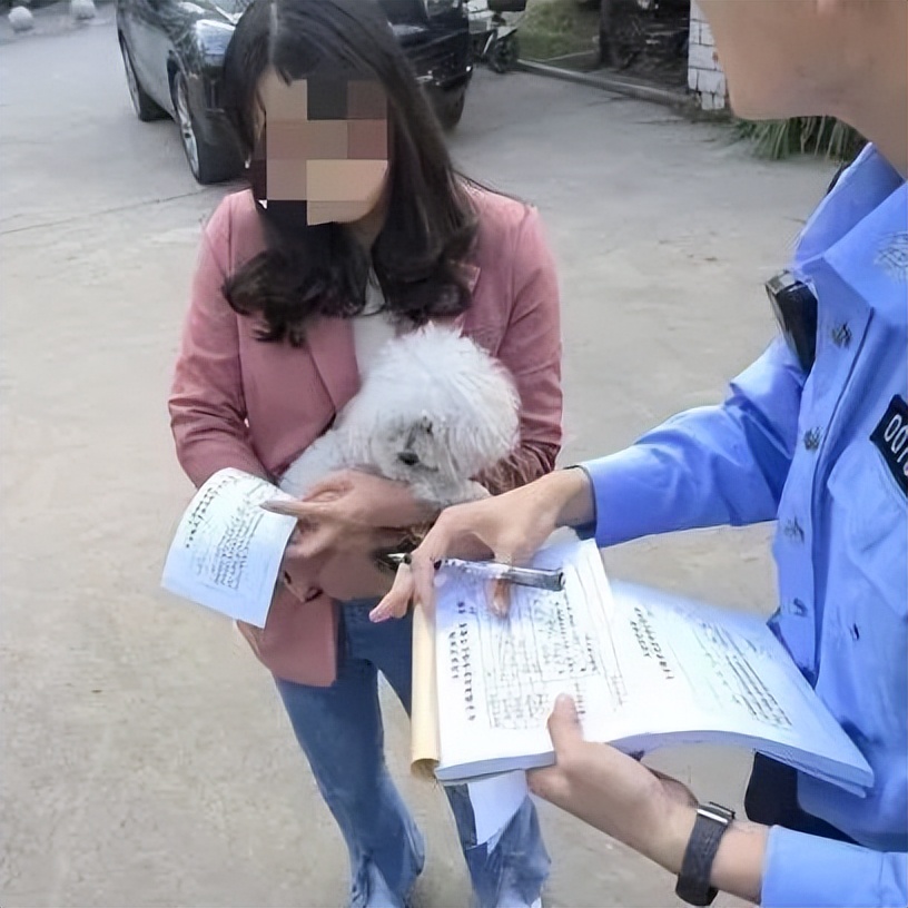 文明城市因不文明养犬被处罚,抚顺整治不文明养犬