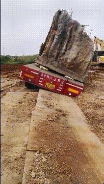 神回复：扔第一颗的时候，日本就是这么想的！神评把我笑死了