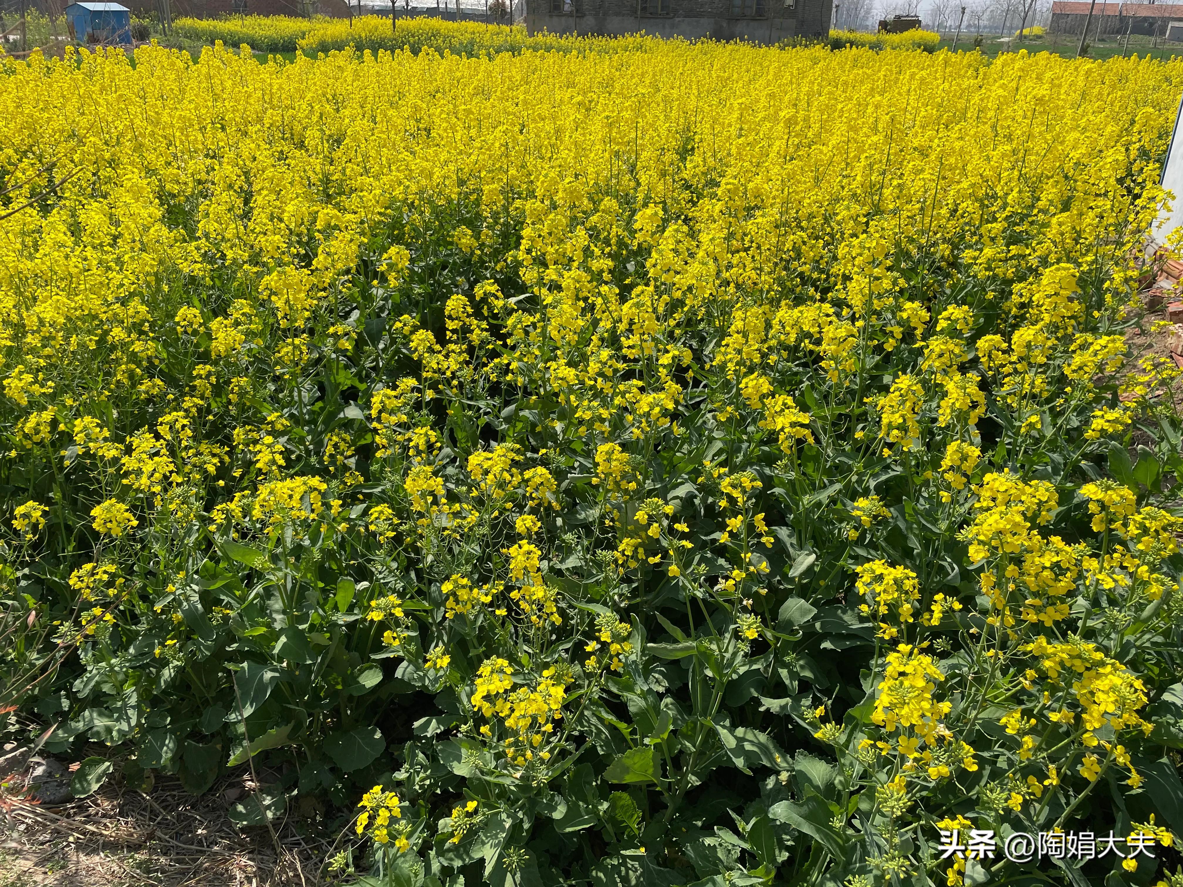 绝经后再来大姨妈正常吗,绝经大姨妈又来了咋办