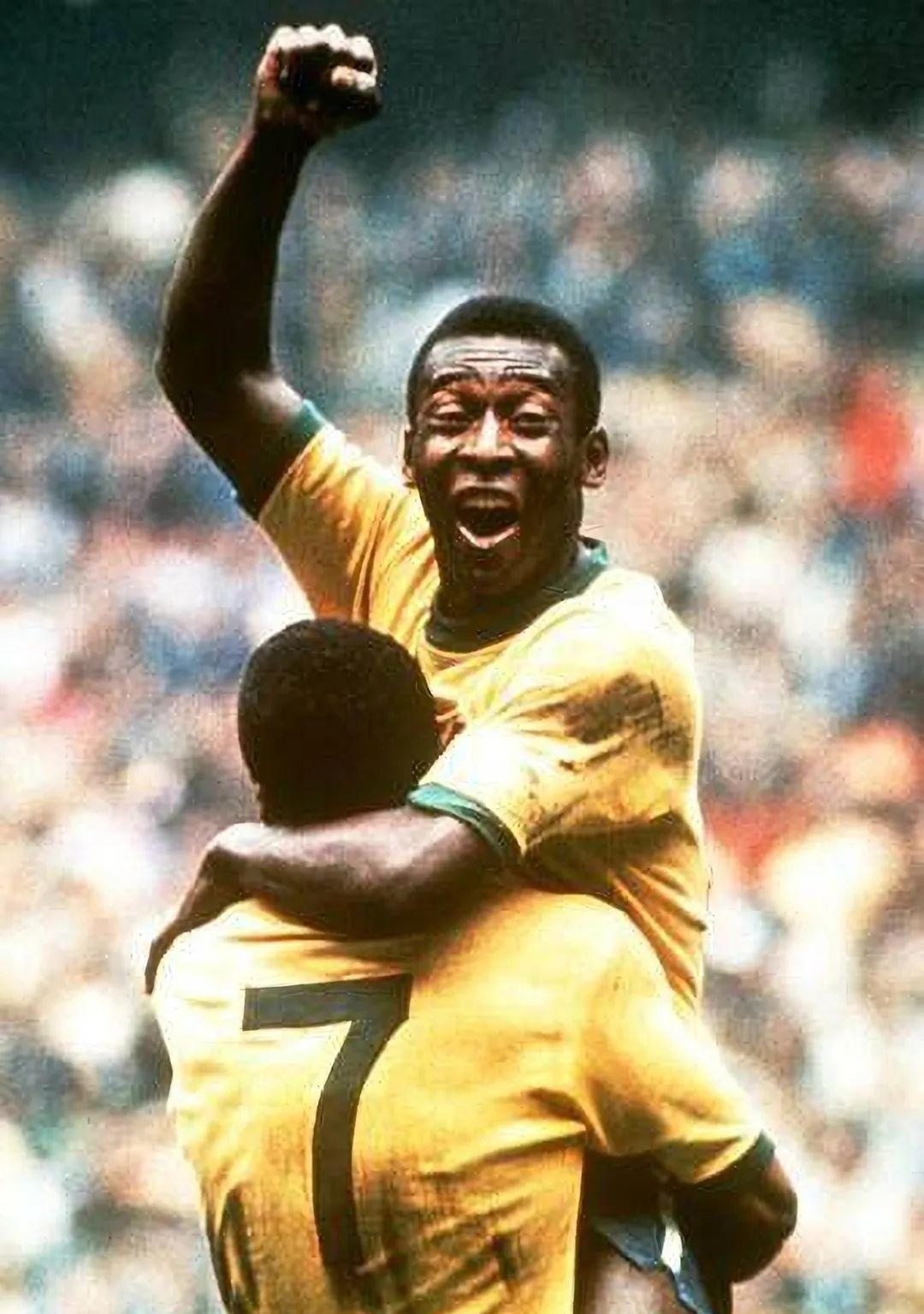 一代巨星的陨落再见了青春,一代球王落幕了马拉多纳一路走好