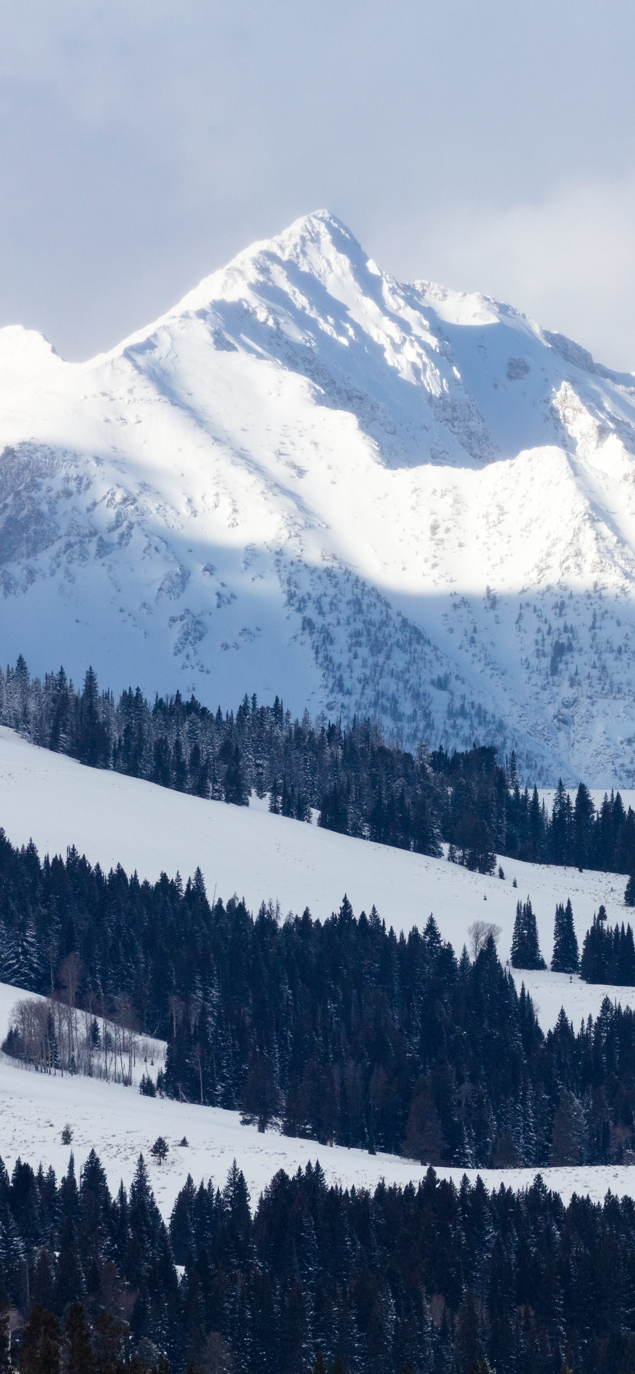 高清蓝天自然风景壁纸,动物自然风景高清壁纸