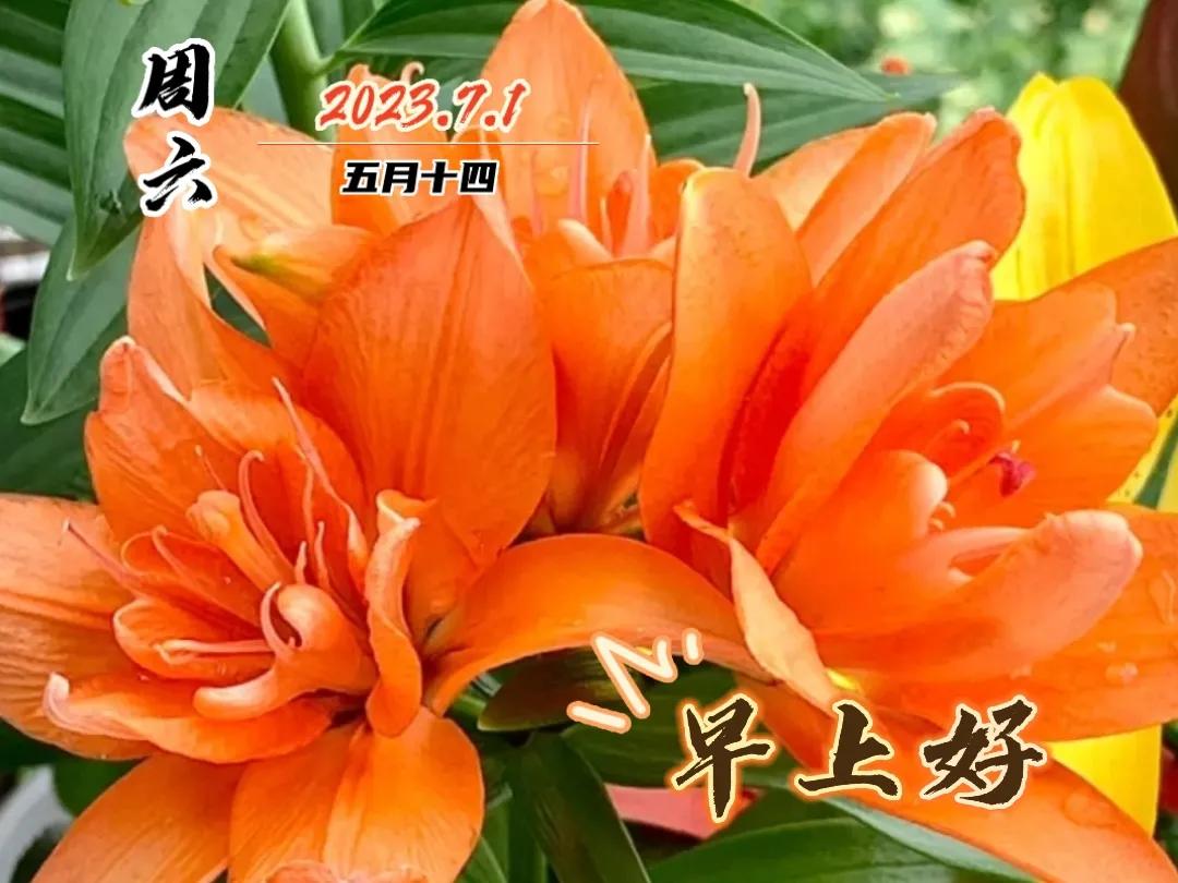 早安图片早上好问候祝福语,早上好图片带字早安问候语大全