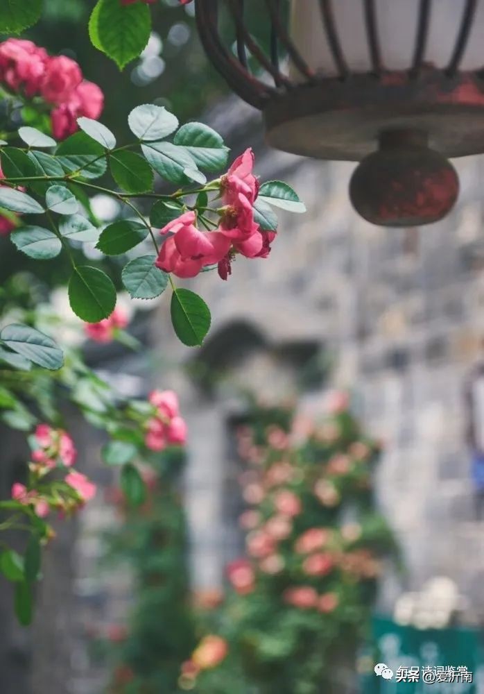 夏日最美的十首唐诗,唐诗三百首中最美的一首诗