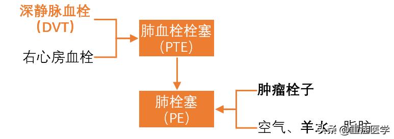 肺栓塞患者，怎么选择溶栓药物和抗凝药物？一文搞定！
