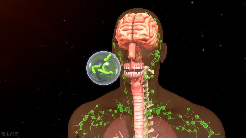 肺结核治疗的新方向！肠道微生物普雷沃菌与肺结核之间相关性研究