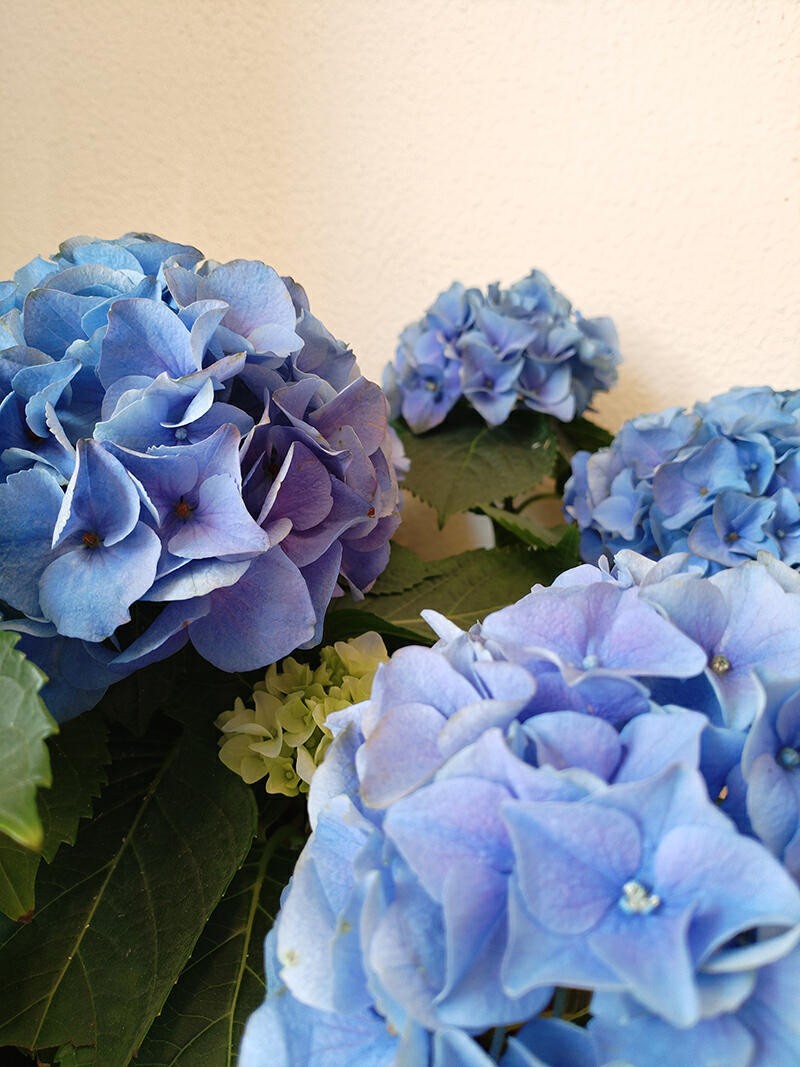 续航可达100公里的电池,续航超1000km的电池