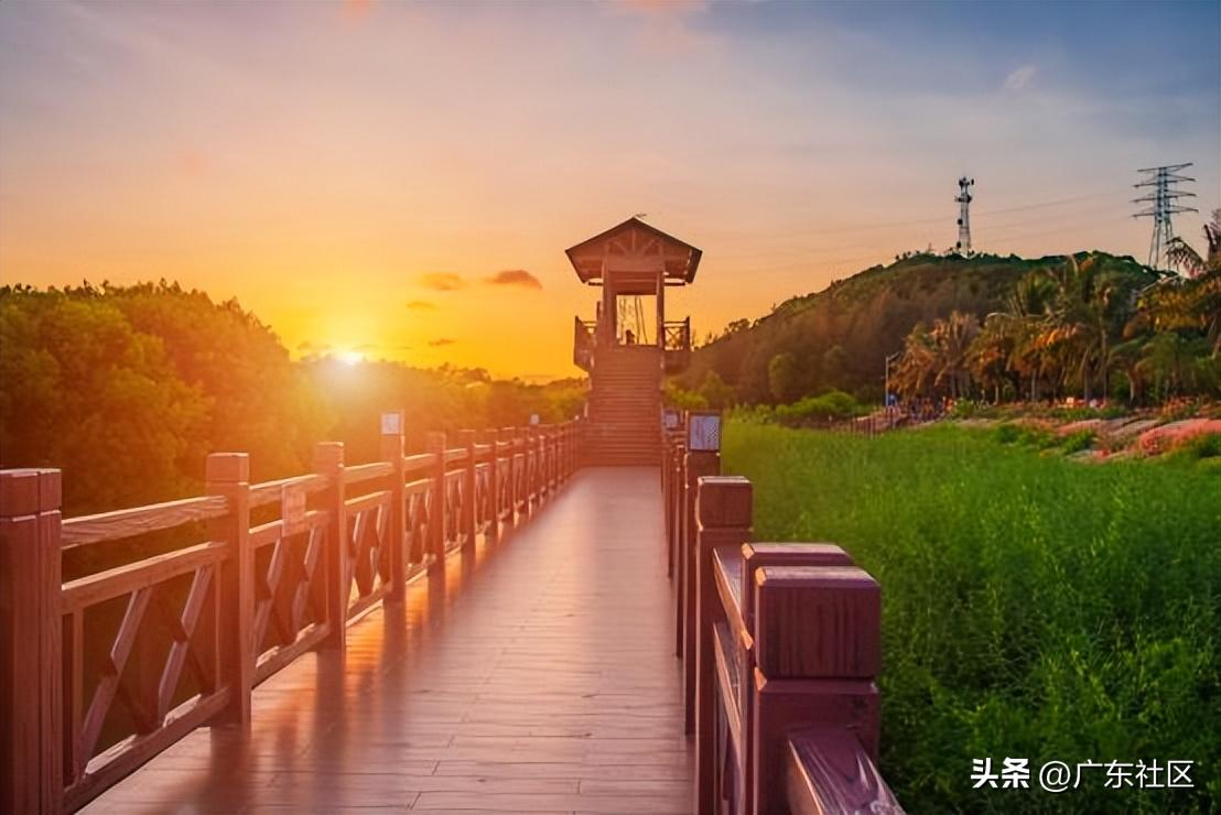 春季国内观鸟热门地,这份观鸟地图请收好