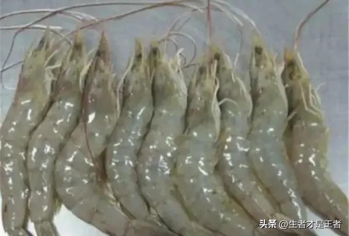 水煮虾怎么个煮法图解,水煮虾的正确水煮方法