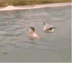 福利就是高清*码无**