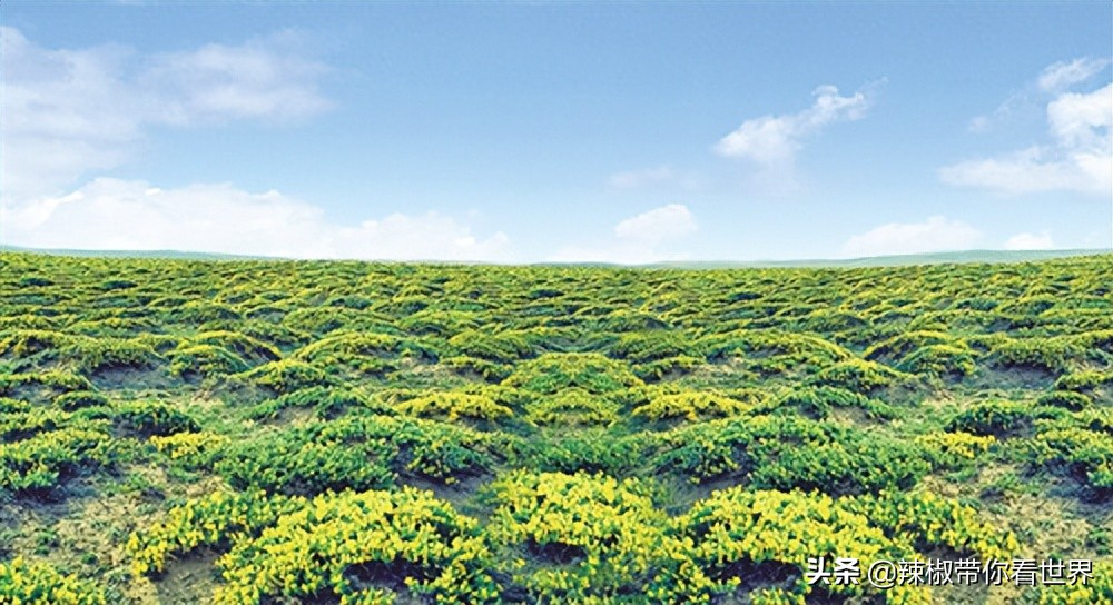 壮美内蒙古鄂尔多斯,内蒙古鄂尔多斯风景