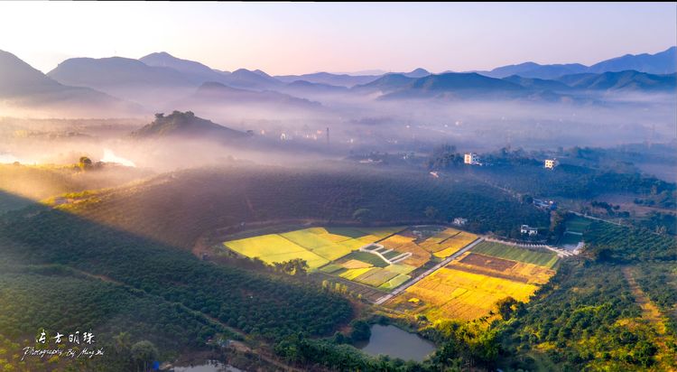 黄梅悠悠胡琴说原唱完整版,悠悠琴韵谱