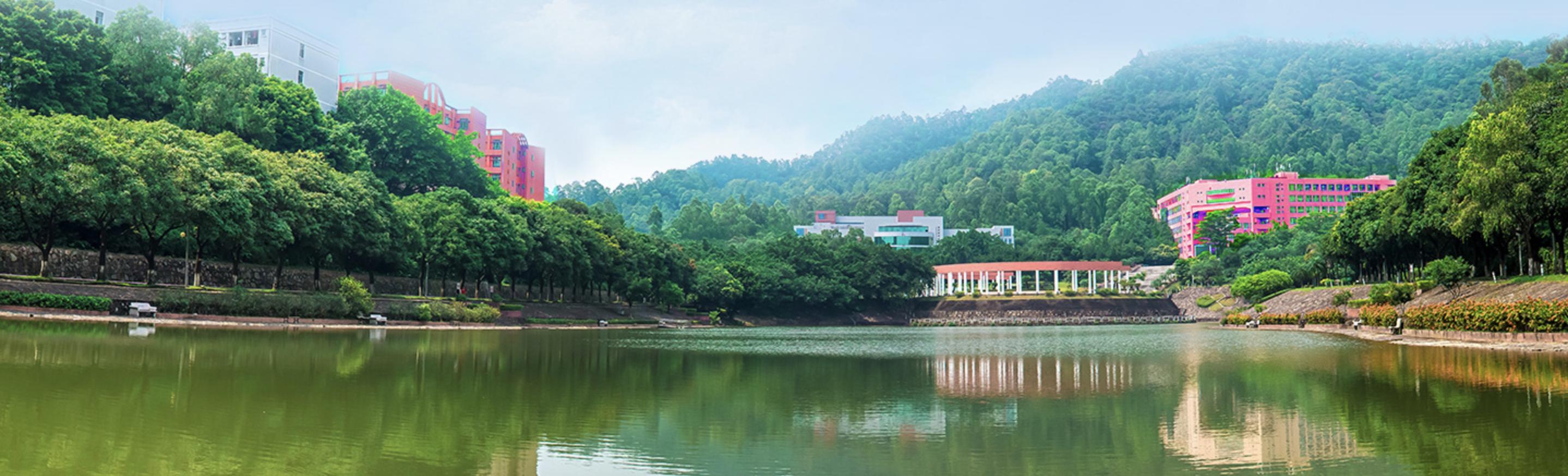 填报志愿40个专业是多少所学校,填报志愿4所学院都录取