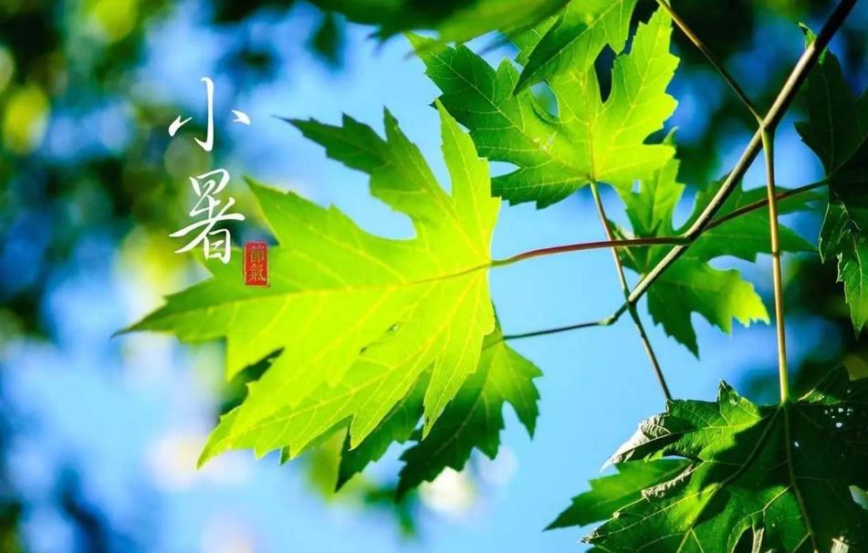 暴雨高温轮番来袭最近天气异常吗,小暑中下游出现持续晴热高温天气