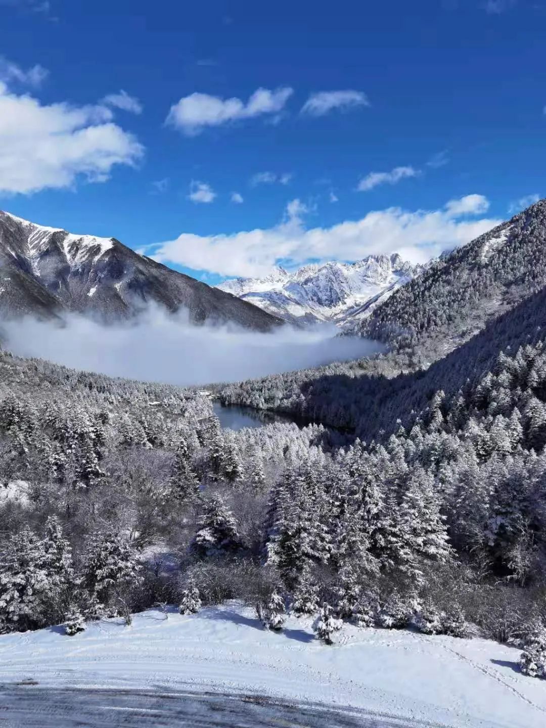 现在的木格措风景,川西高原木格措旅游