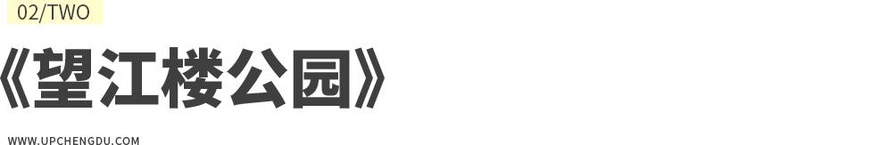 成都向上最新信息,年度向上力量合照