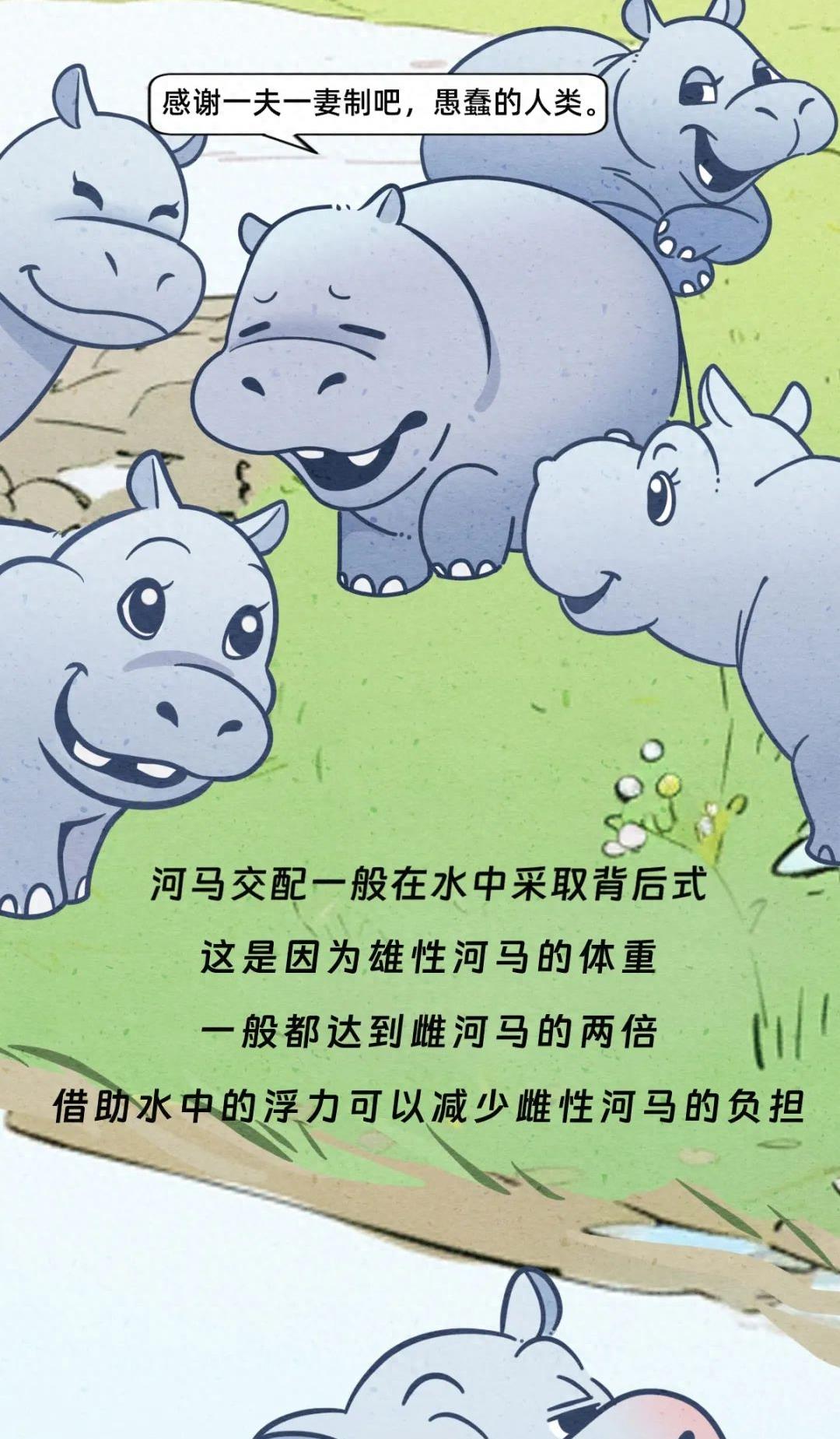 动物交配行为鉴赏，真的触碰到了我的知识盲区（漫画）