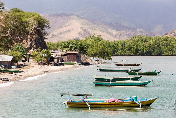 世界上最年轻的国家排名,世界上最年轻的国家有哪些
