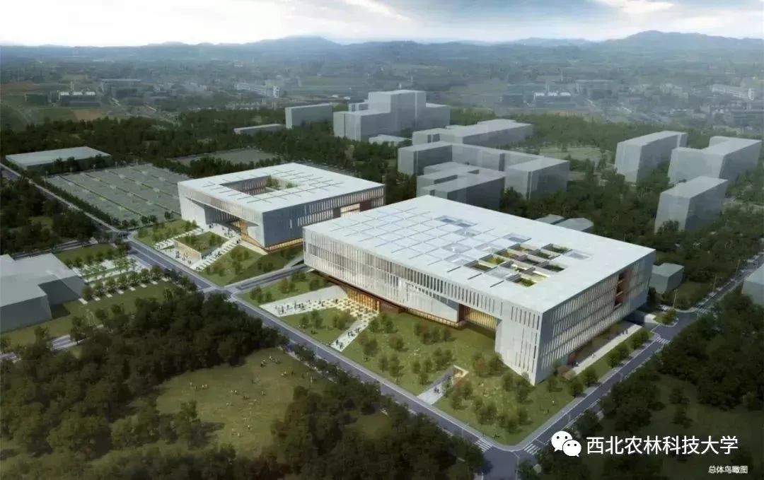 低调的实力名校,低调有实力的一本院校