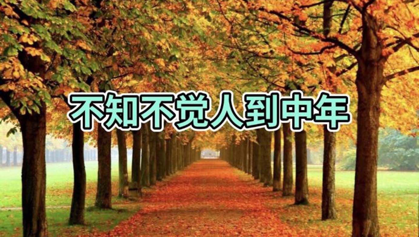 风云四季无余乐，一片痴情寄绿园，哪些往事让养花大叔最常追忆？