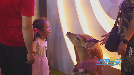 财经频道2019.2.1消费主张,6月14日中央财经频道cctv2消费主张