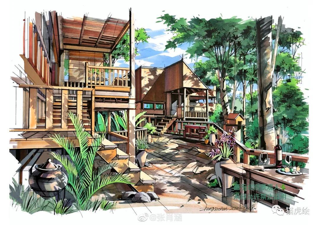 2022猫虎绘暑假手绘班招生简章「线上+线下」