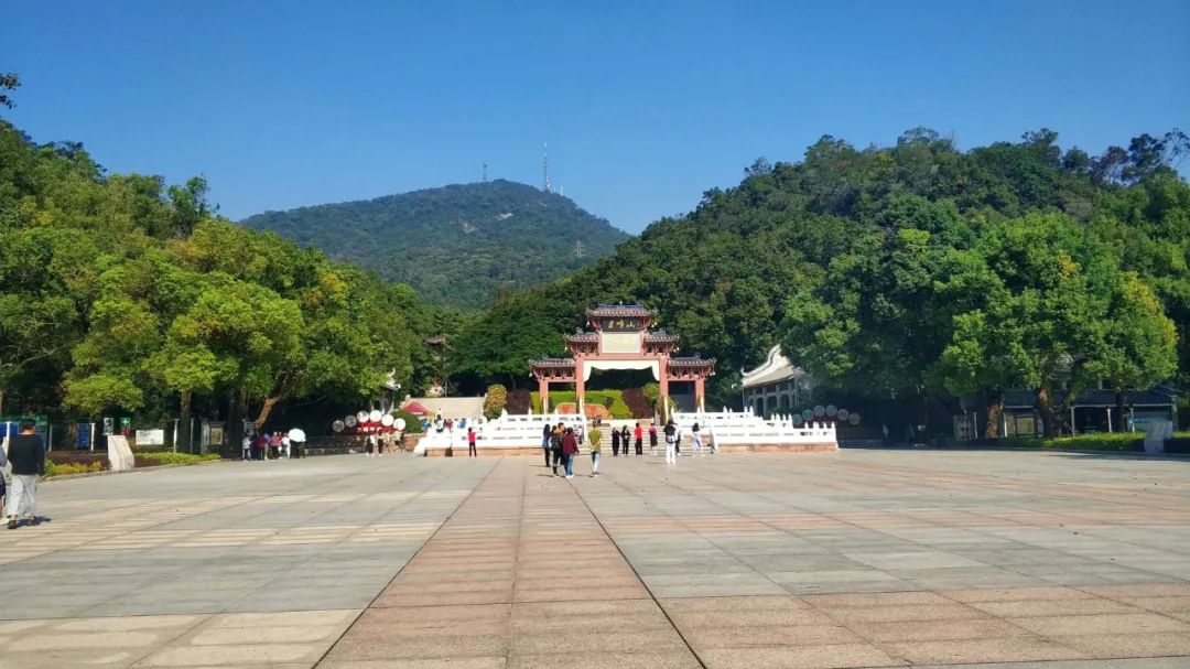 超期待！新会首条“云道”曝光！旧城活化，惊喜持续加码