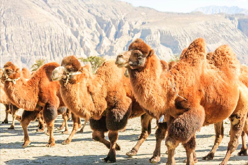 高血糖患者饮食有哪些禁忌和要求,高血糖饮食清单