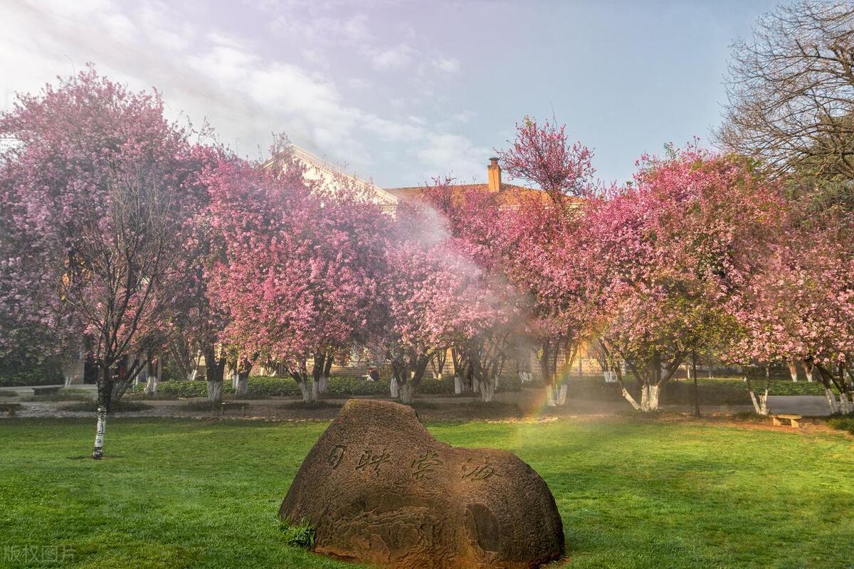 昆明周边有哪些好玩的旅游景点,昆明周边游玩景点推荐2天1晚冬天