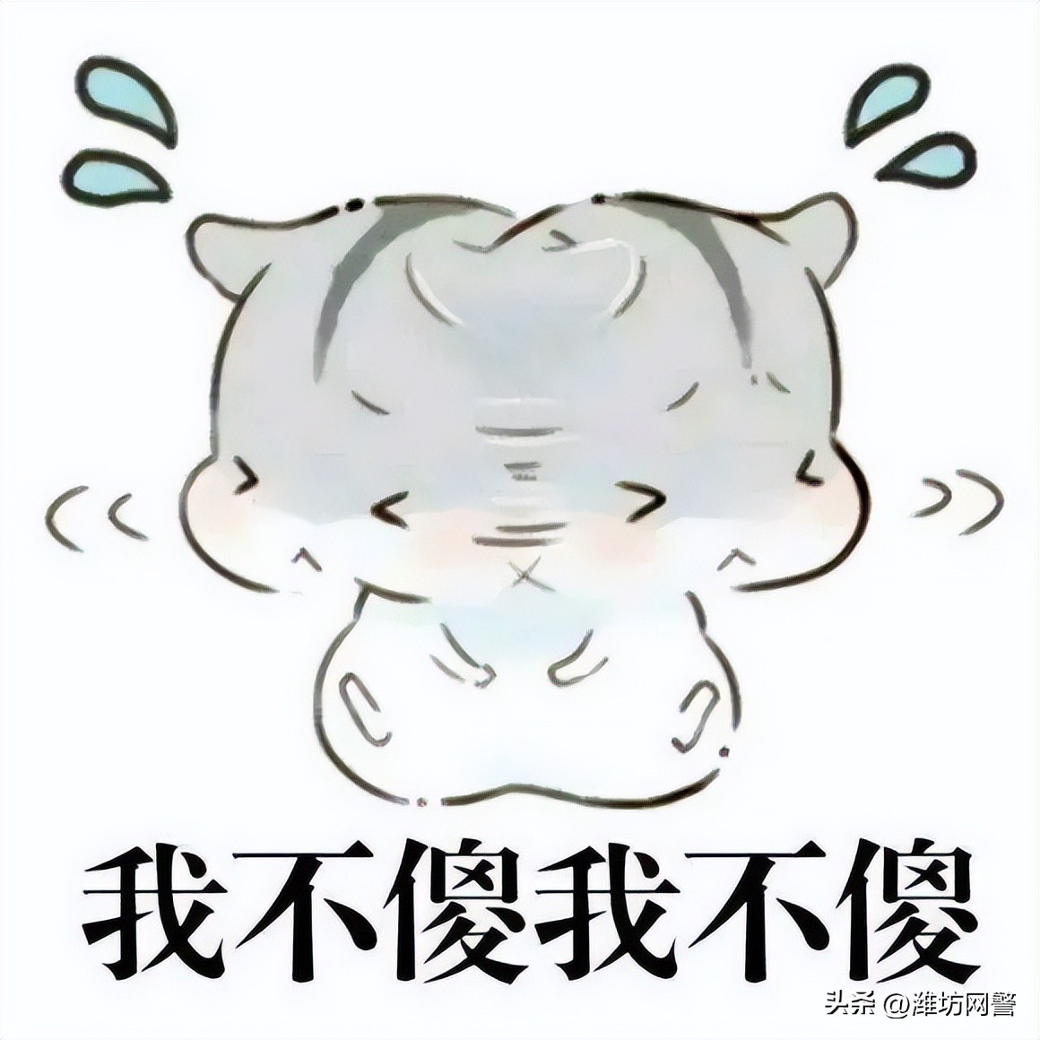 “五一”反诈大行动：7大类型、10种骗术、5个诈骗心法，请全员提前做好防范