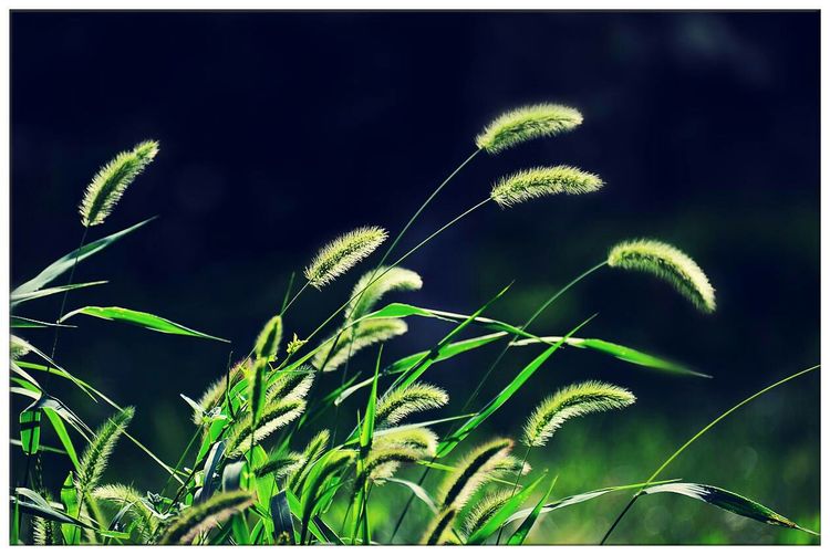 小说《锅伙》（58）：休假初回家