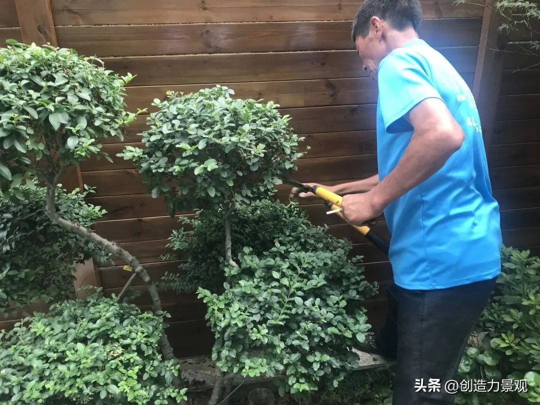 周末回访老客户的文案,回访老客户的主题