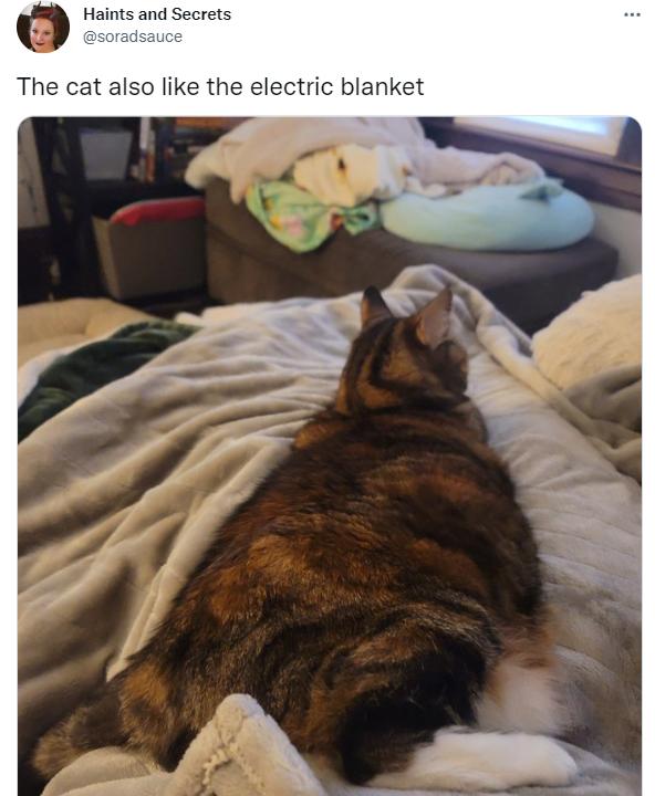 欧洲人买爆中国电热毯！工厂连夜加班，网友爆笑：狠赚一笔哈哈哈