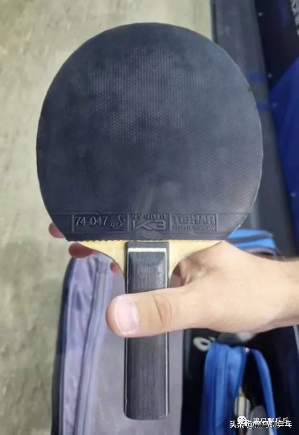 每周乒器观察148：蝴蝶，被挺拔捷足先登了