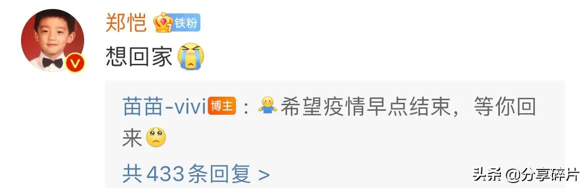 郑恺爱的是苗苗还是程晓玥,郑恺是爱程晓玥还是苗苗