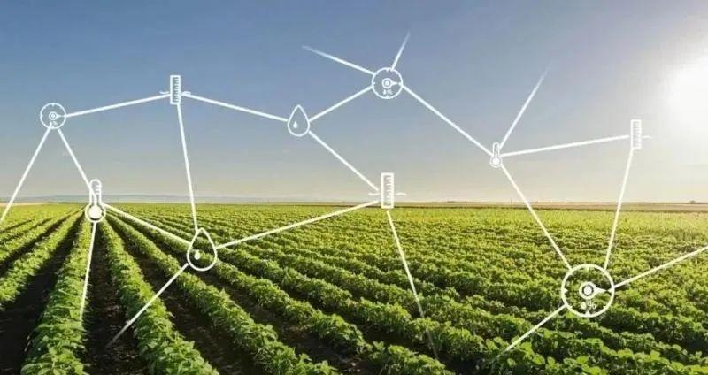 农业信息化和精准农业,农业信息化是在农业的什么领域