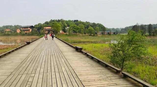 宁乡桃林镇,长沙市道林镇