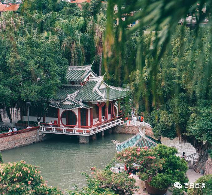 春节去厦门旅游攻略自由行,重庆到厦门自由行详细攻略