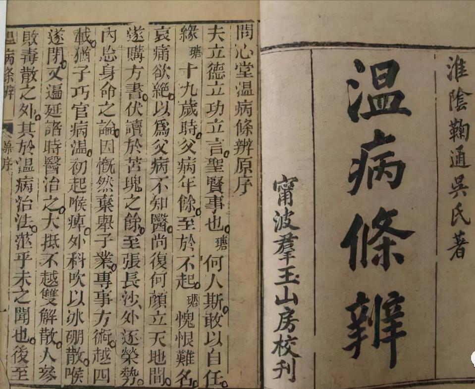 中医辨证论治体系,中医四诊八纲脏腑学说