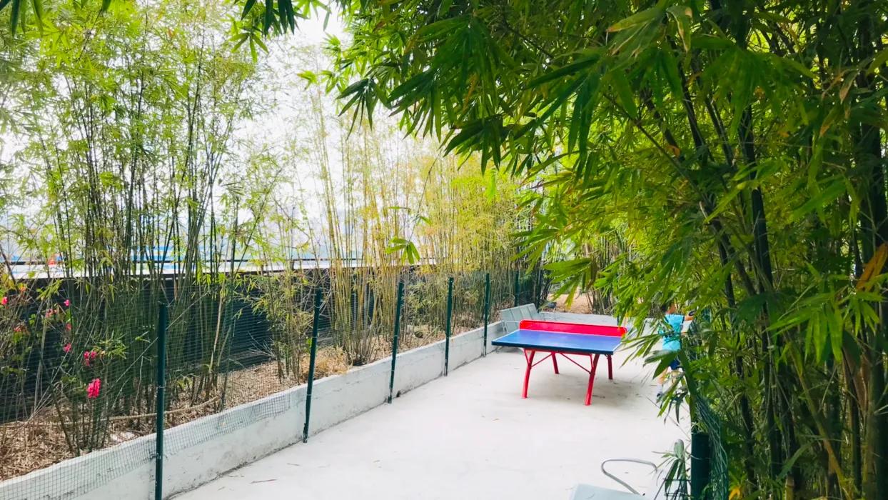 输和赢之间没有绝对的界限,输和赢