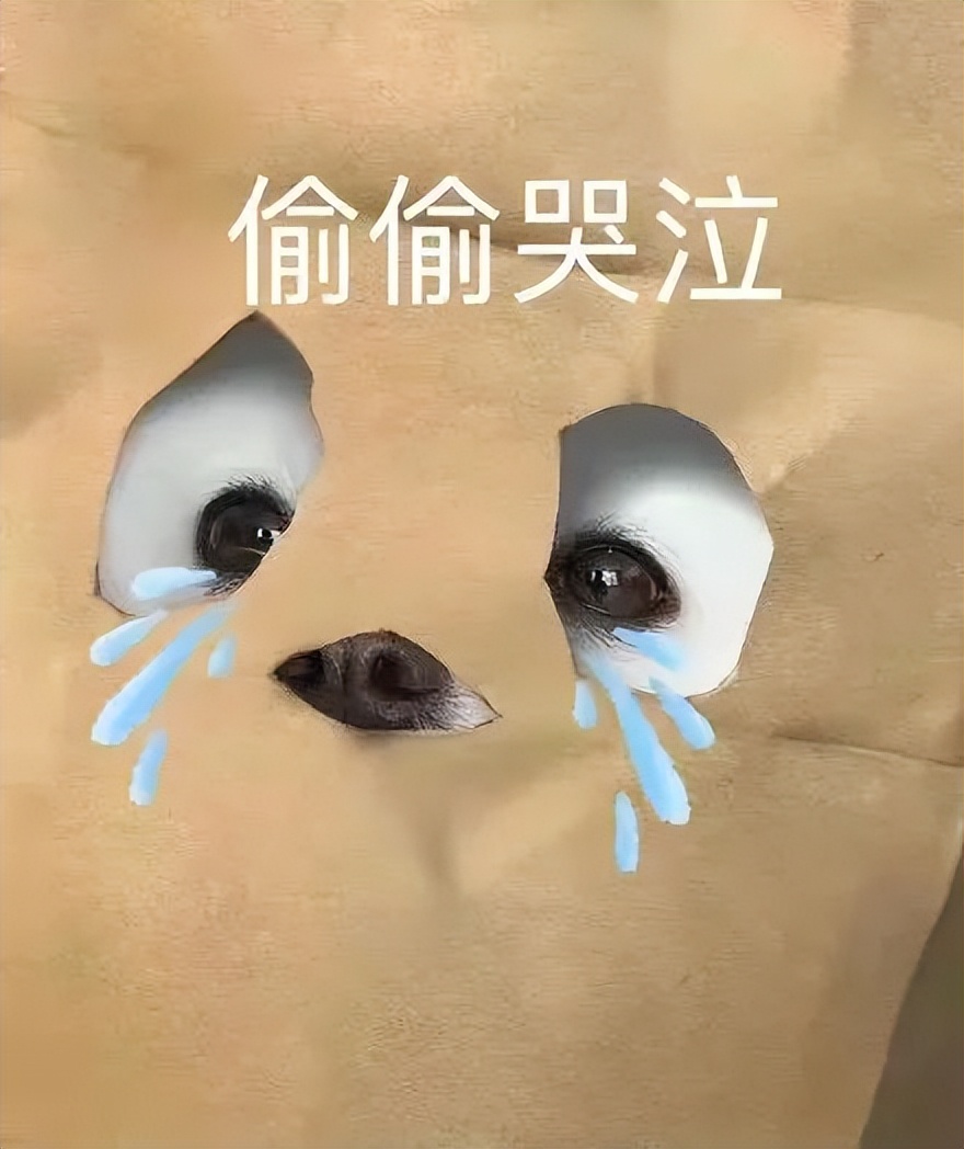 不是莆田,莆田鞋到底能不能买