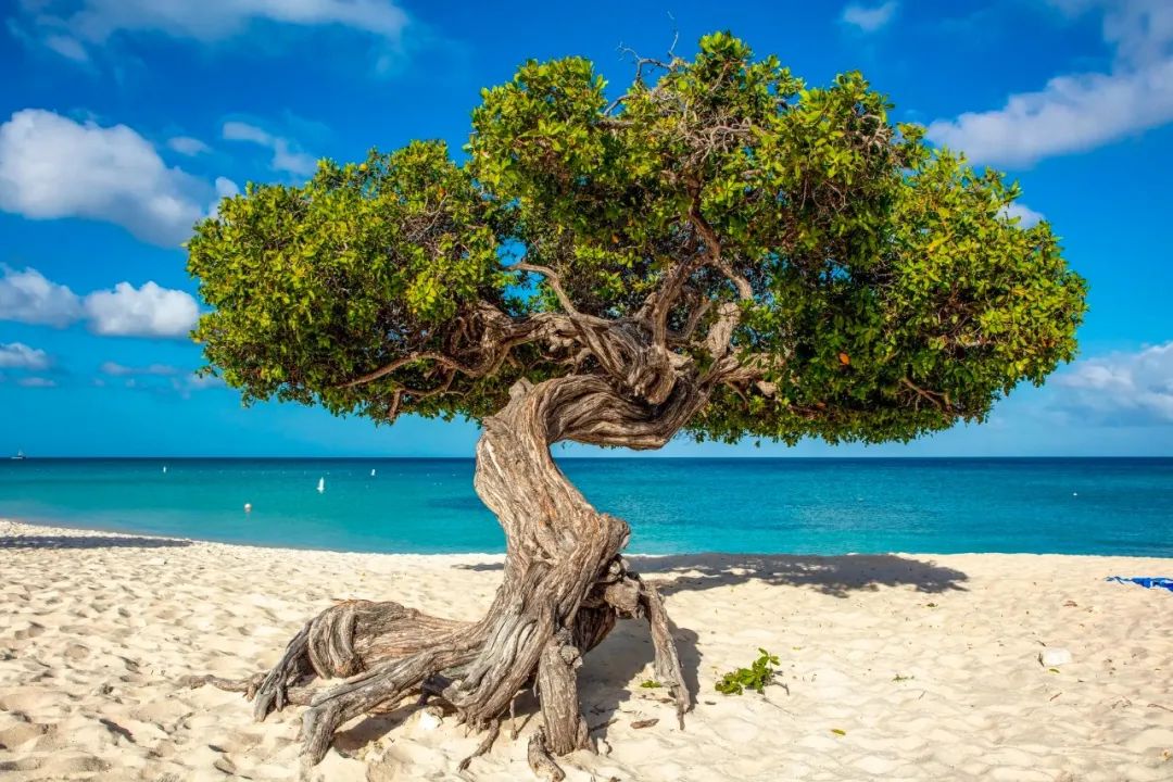 小众景点南方旅游攻略,穷游必去的小众旅游景点合集