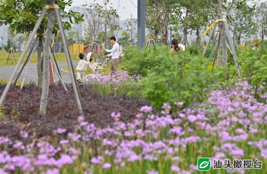 南通搭帐篷露营的好去处,楠溪江轻奢露营营地