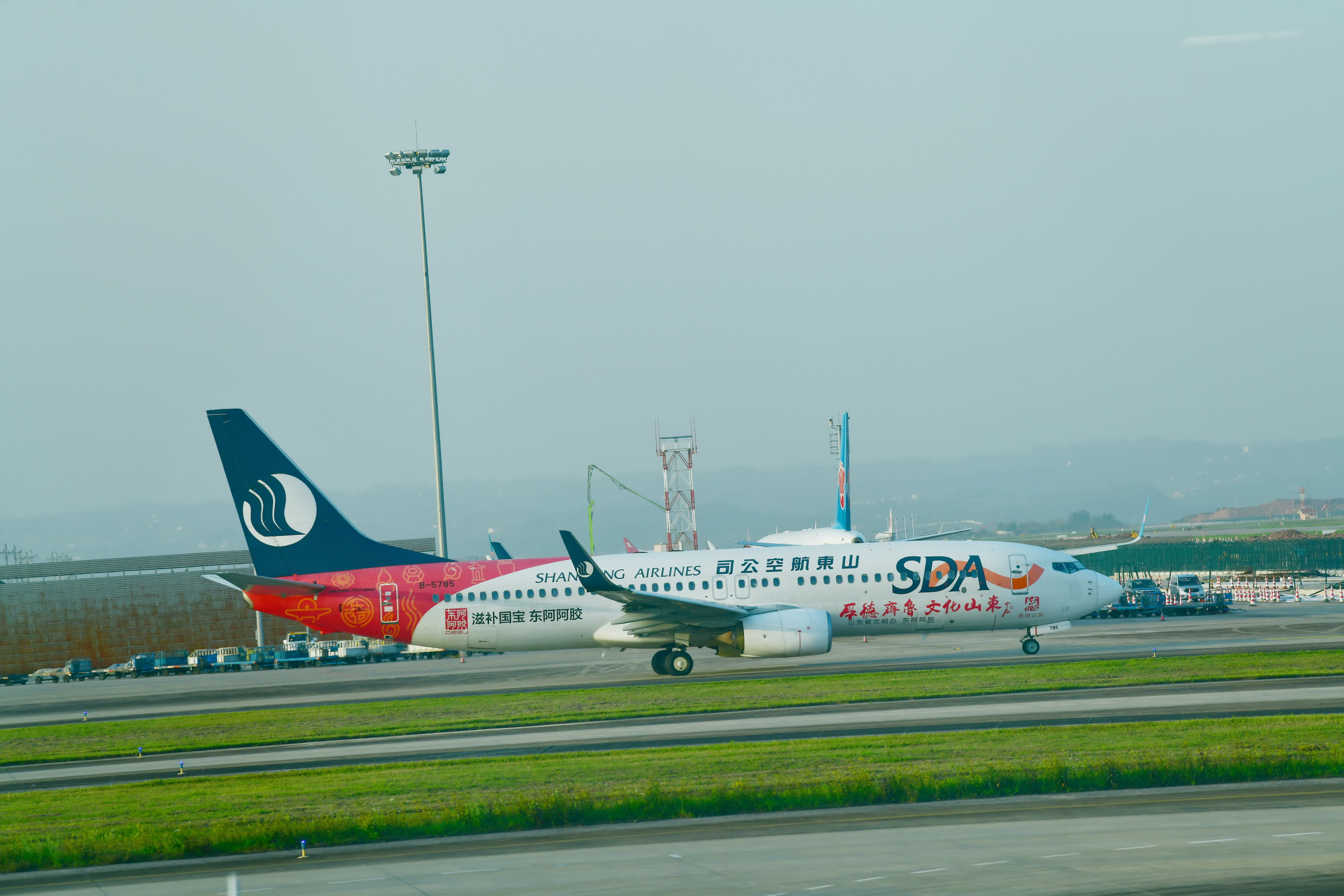 我的林芝一日游攻略,林芝看桃花西藏之旅