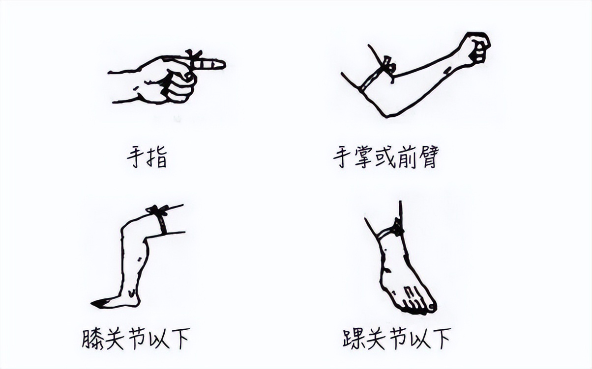有蛇出没多地居民区如何防蛇,蛇出没最全防蛇手册来了